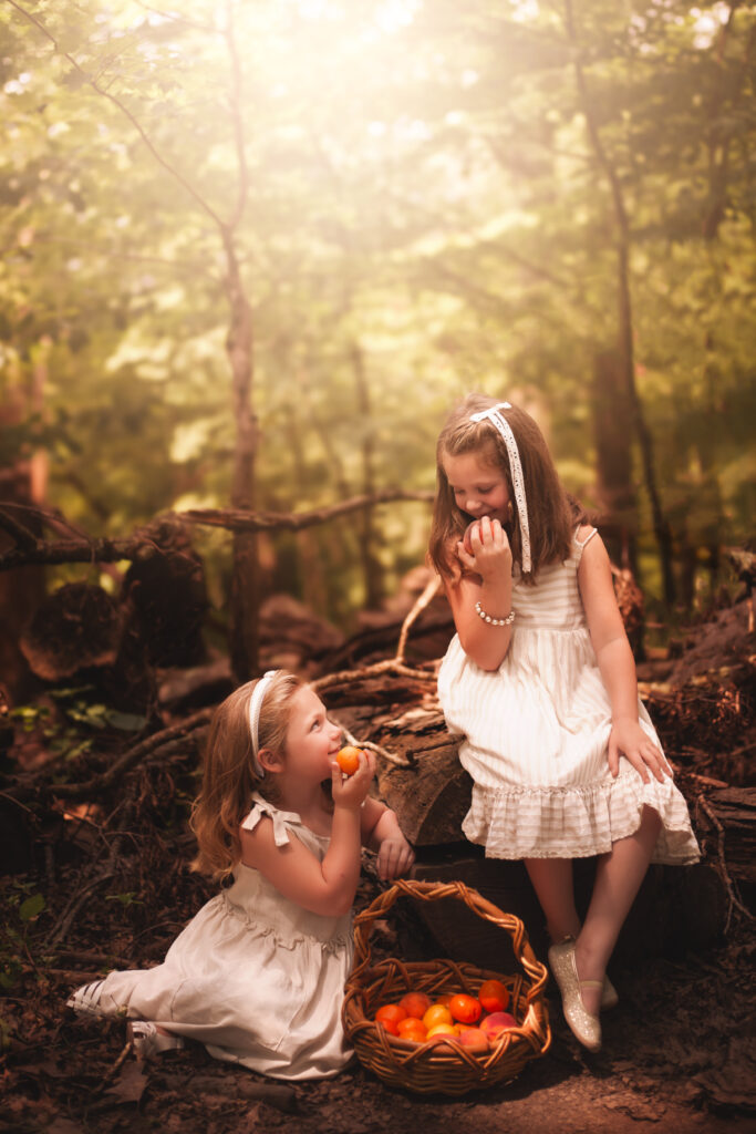 storybook children photography pittsburgh